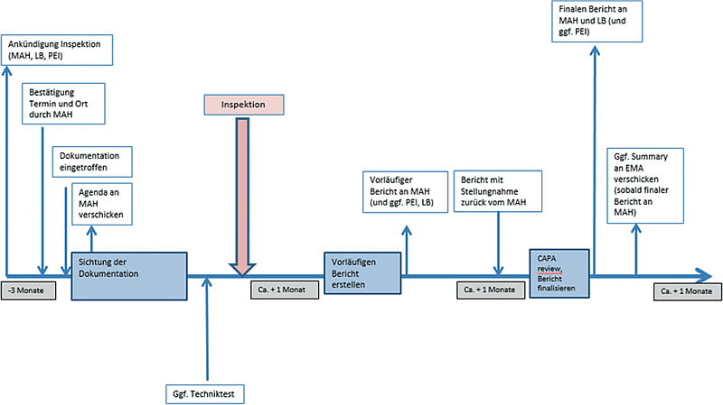 Inspektionen in der Pharmakovigilanz | Ablauf und Inhalte von &Uuml;berpr&uuml;fungen durch die Bundesoberbeh&ouml;rde aus Sicht des BfArM